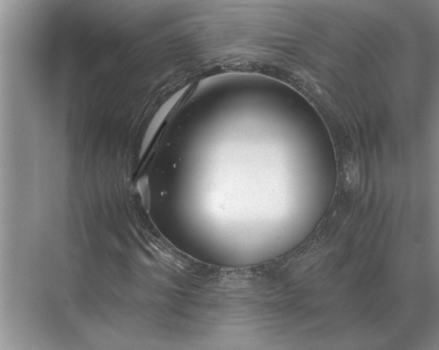 X0000075910964200609291753