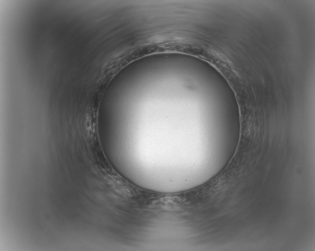 X0000075910966200609291753