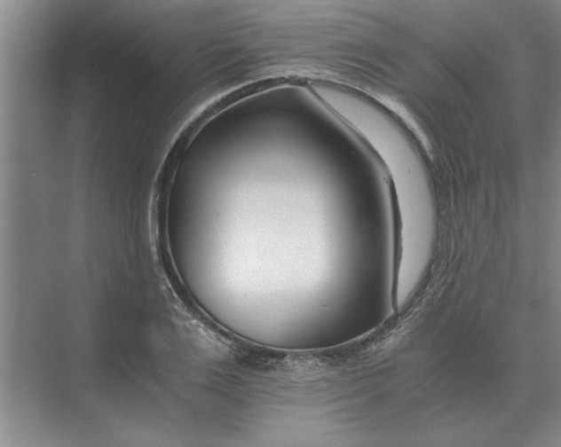 X0000075910983200609291753