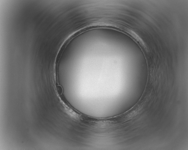 X0000075910988200609291753