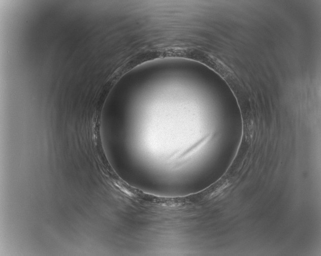 X0000075911010200609291752