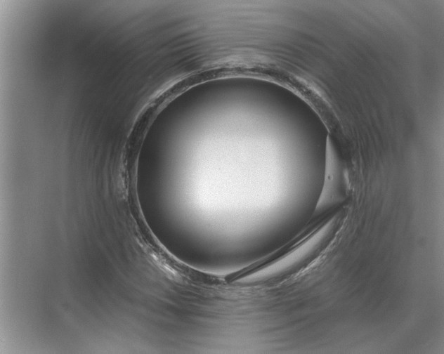 X0000075911018200609291752