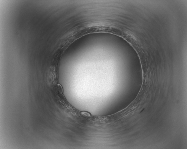 X0000075911062200609291752