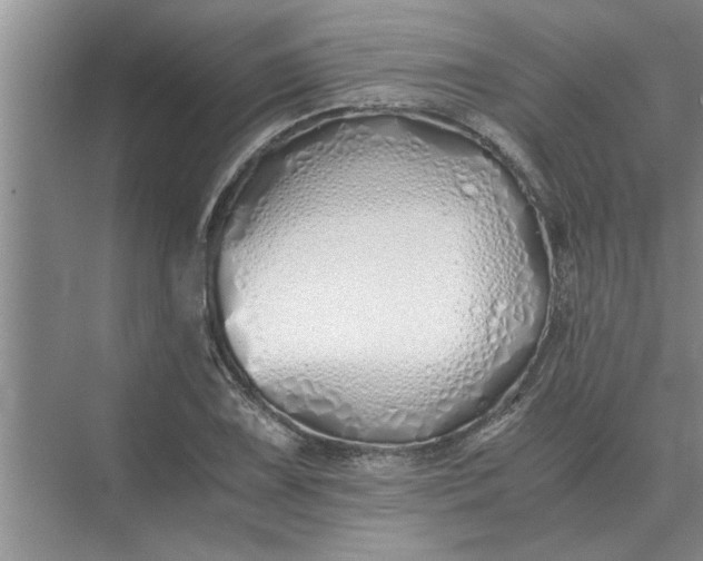 X0000075911075200609291752