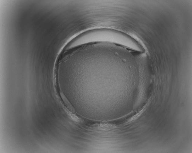 X0000075911077200609291752