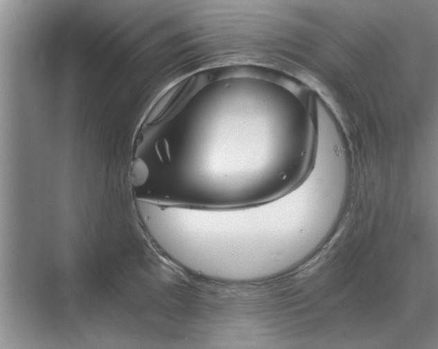 X0000075911097200609291751