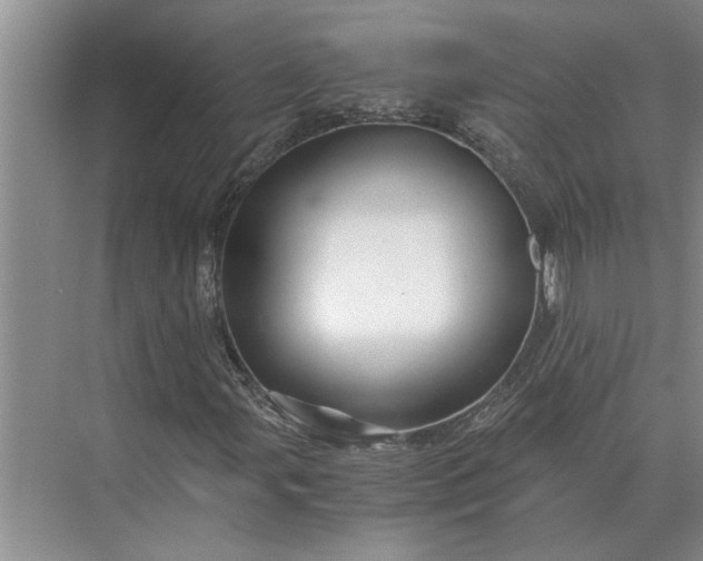 X0000075911107200609291750