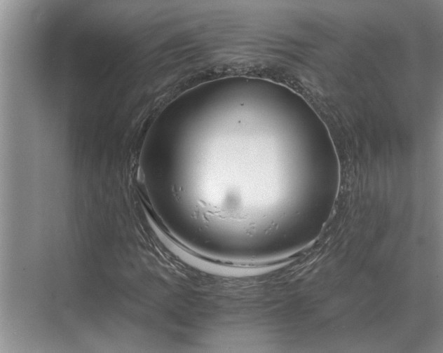 X0000075911109200609291750