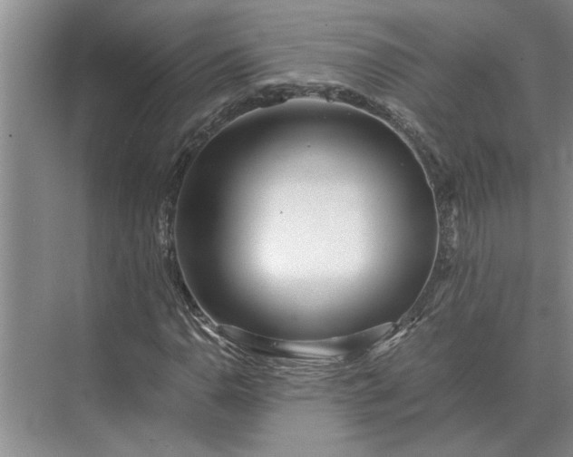 X0000075911110200609291750