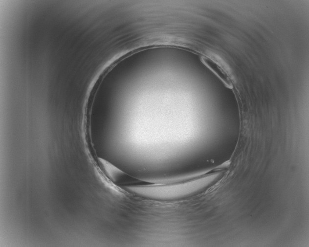 X0000075911136200609291751