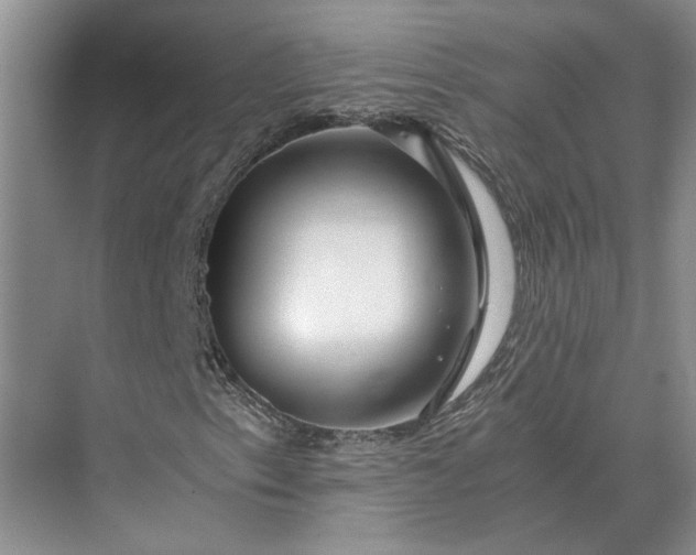 X0000075911153200609291750