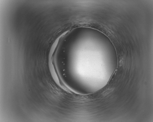 X0000075911156200609291750