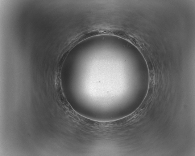 X0000075911157200609291750