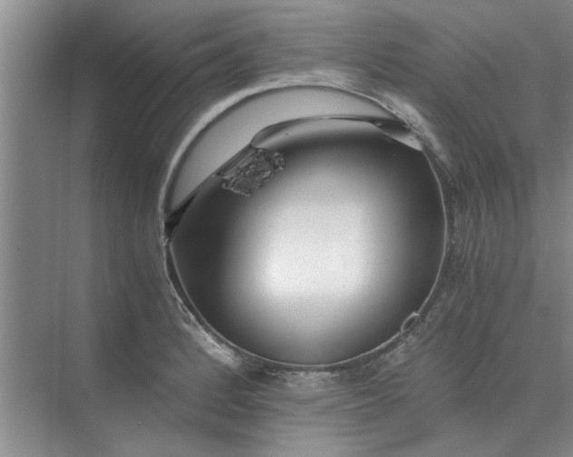 X0000075911184200609291750