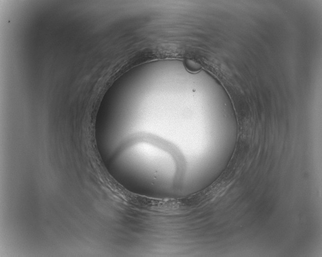 X0000075911201200609291749