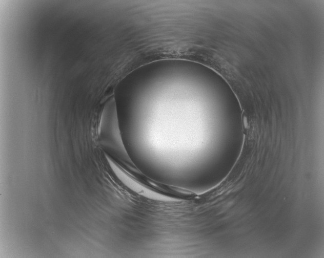 X0000075911202200609291749