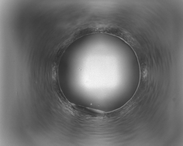 X0000075911204200609291749