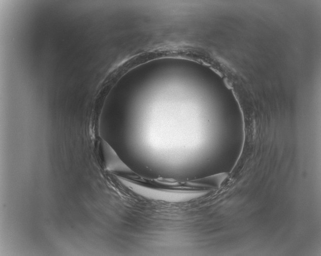 X0000075911206200609291749