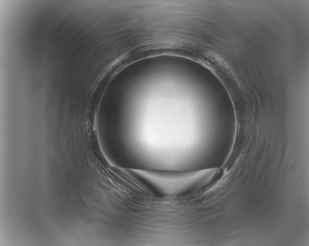 X0000075911210200609291749