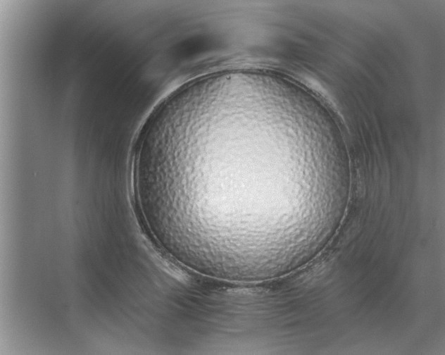 X0000075911227200609291749