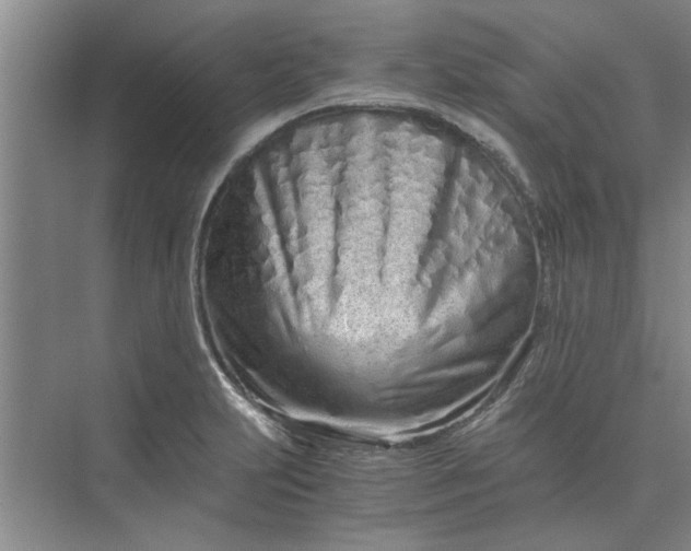 X0000075911231200609291749