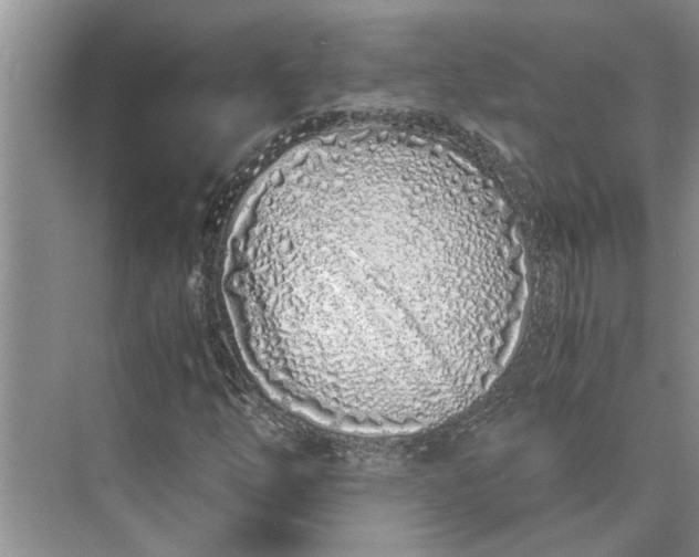 X0000075911254200609291749