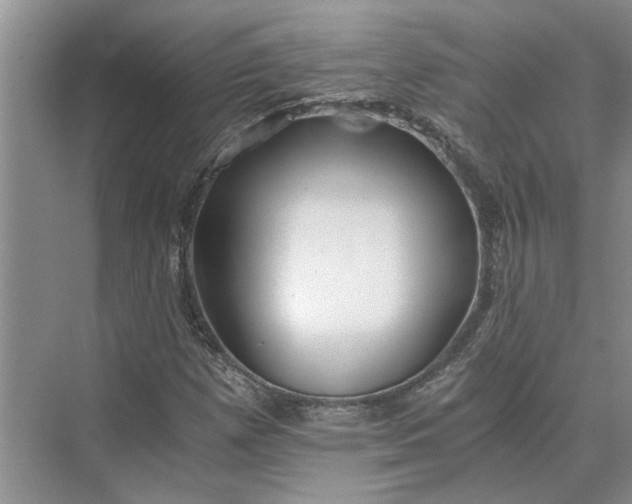 X0000075911257200609291749