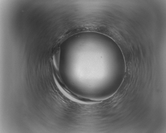 X0000075911298200609291747