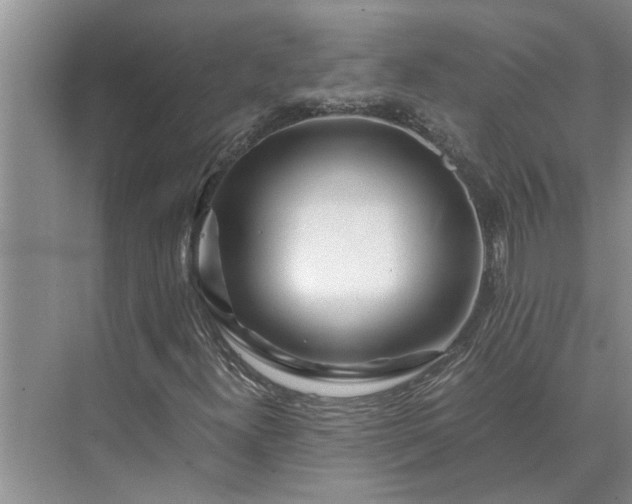 X0000075911300200609291747