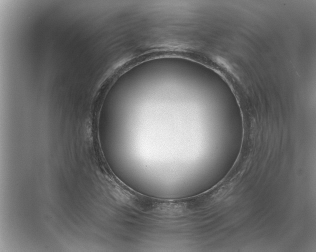 X0000075911307200609291747