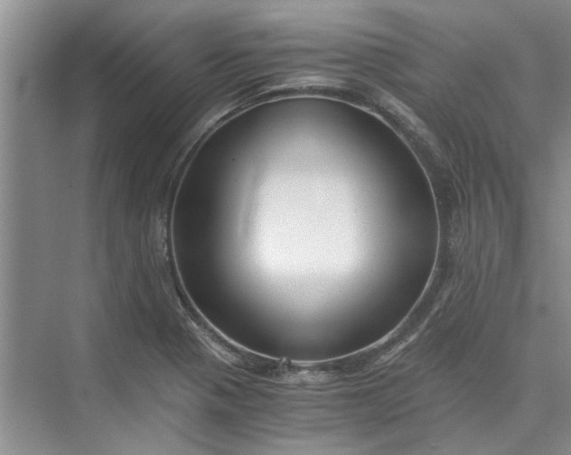 X0000075911321200609291747