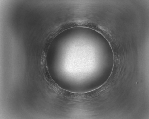 X0000075911349200609291747