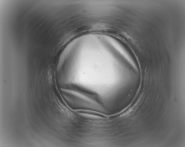 X0000075911401200609291746