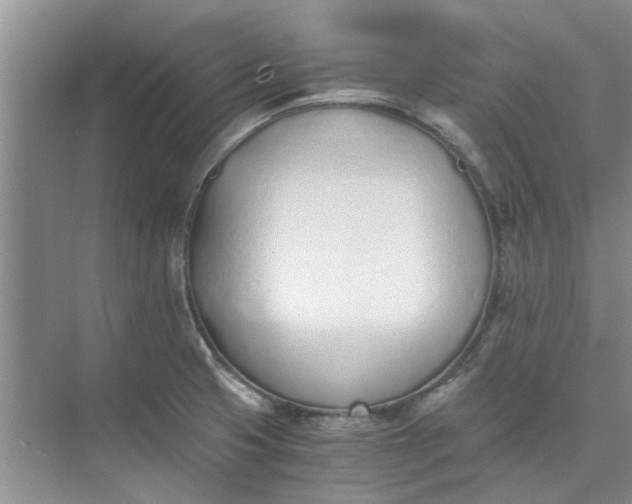 X0000075911425200609291746