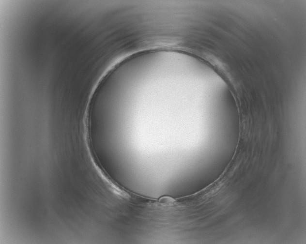 X0000075911432200609291746