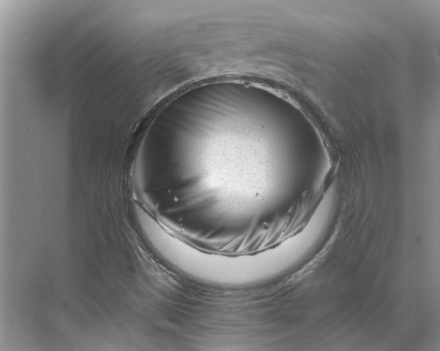 X0000075911497200609291744