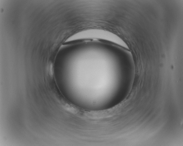 X0000075910041200610062153