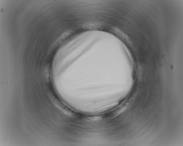 X0000075910065200610062153