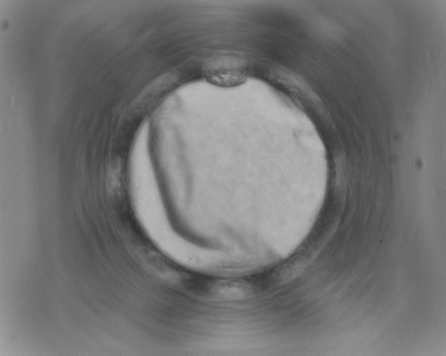 X0000075910073200610062153