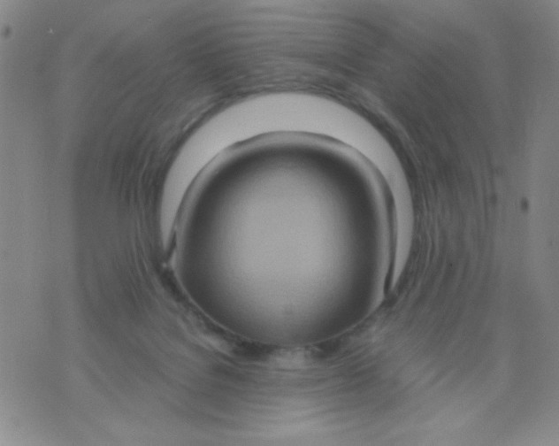X0000075910076200610062153