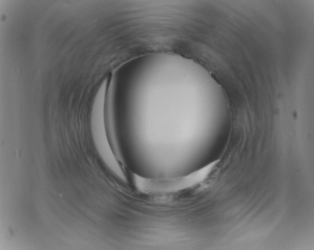 X0000075910084200610062153