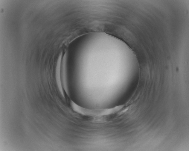 X0000075910088200610062153