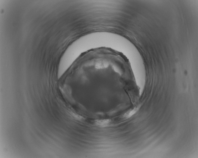 X0000075910143200610062152