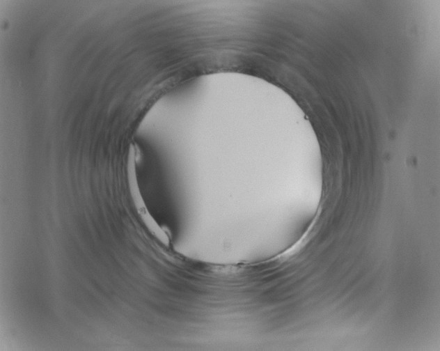 X0000075910144200610062152