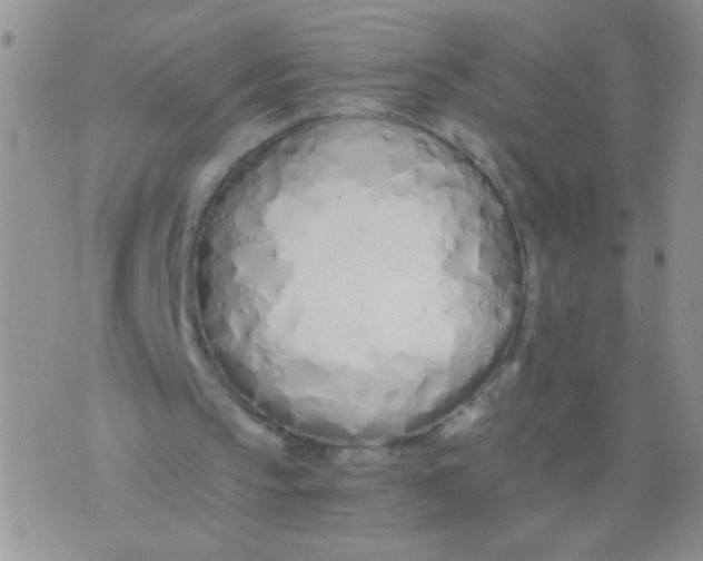 X0000075910145200610062151
