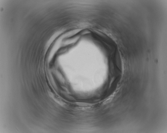 X0000075910147200610062151