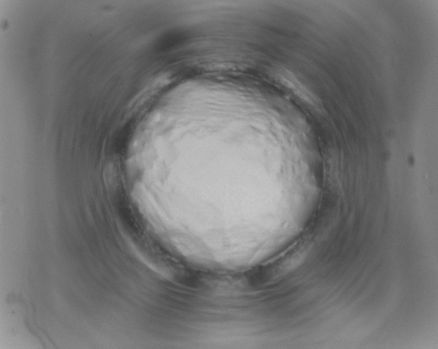 X0000075910165200610062151