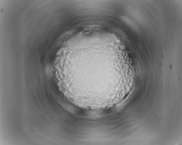 X0000075910191200610062152