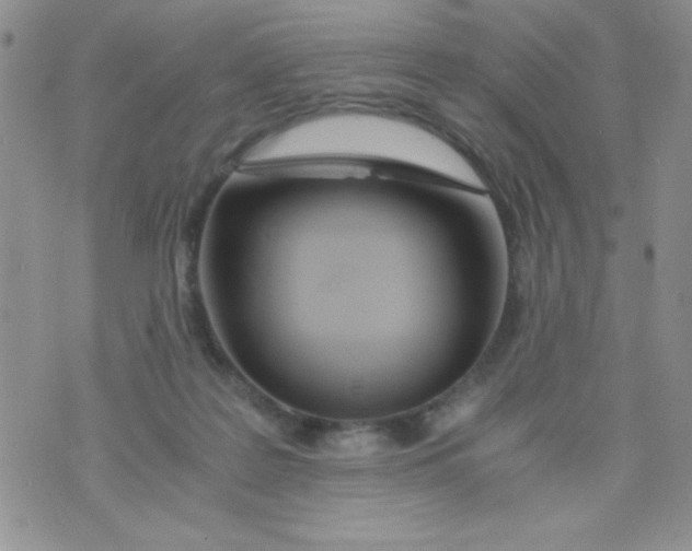 X0000075910219200610062151