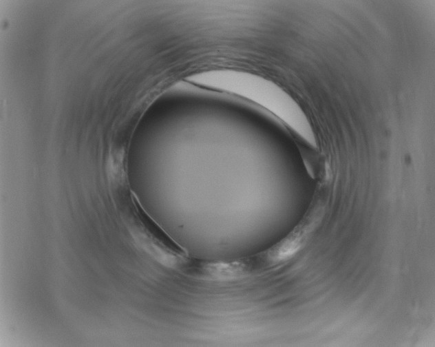 X0000075910239200610062150